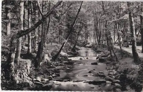 [Ansichtskarte] WILDBAD im Schwarzwald - An der Enz - 1963. 