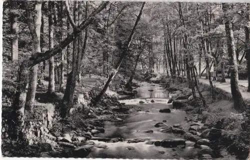 [Ansichtskarte] WILDBAD im Schwarzwald - An der Enz - 1963. 