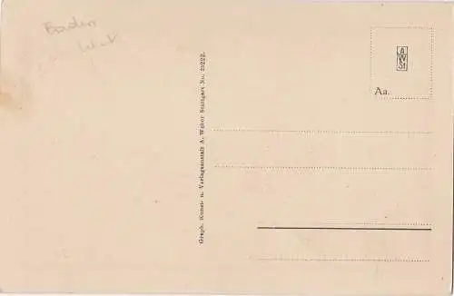 [Ansichtskarte] Donautal - Schloss Werenwag 775 m. 
