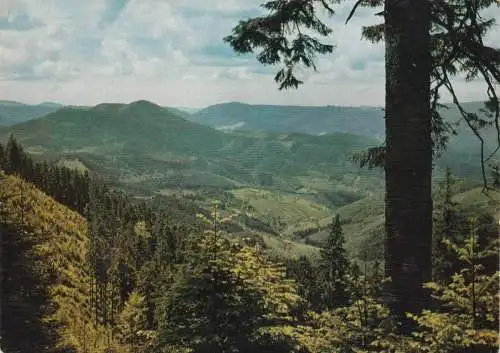 [Ansichtskarte] Im Schwarzwald. 