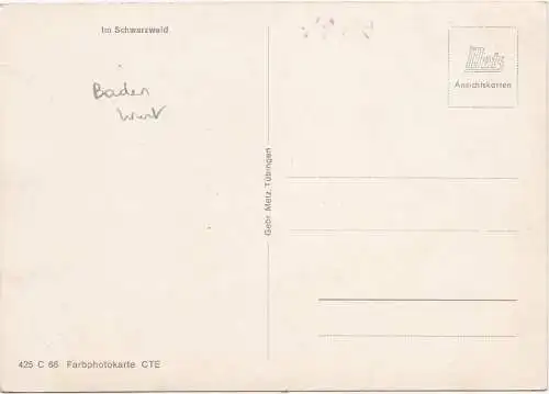 [Ansichtskarte] Im Schwarzwald. 