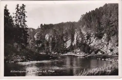 [Ansichtskarte] Kollmitzgraben N.O. - Partie a.d. Thaya - 1949. 