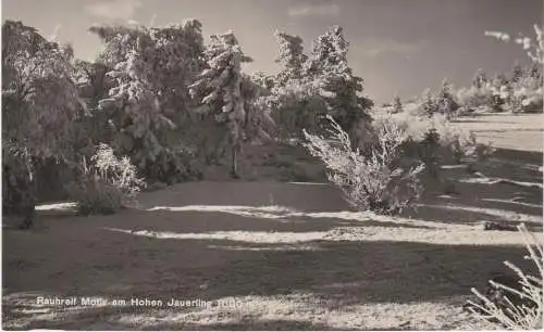 [Ansichtskarte] Rauhreif Motiv am Hohen Jauerling 1000m. 