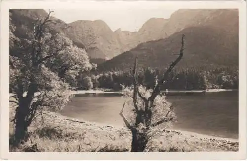 [Ansichtskarte] Vorderer Langbathsee bei Ebensee. 