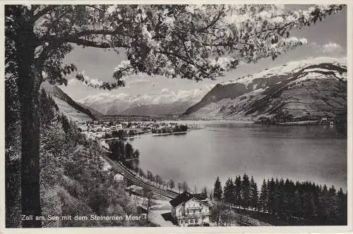 [Ansichtskarte] Zell am See mit dem Steinernen Meer - 1933. 