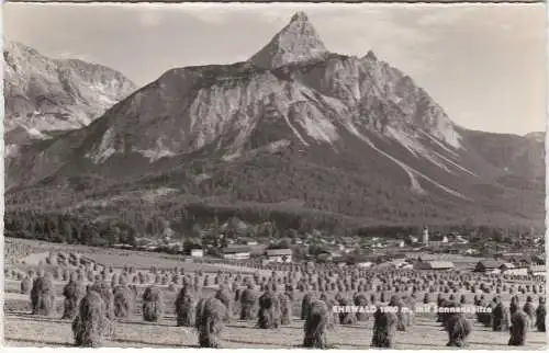 [Ansichtskarte] Ehrwald 1000 m, mit Sonnenspitze. 