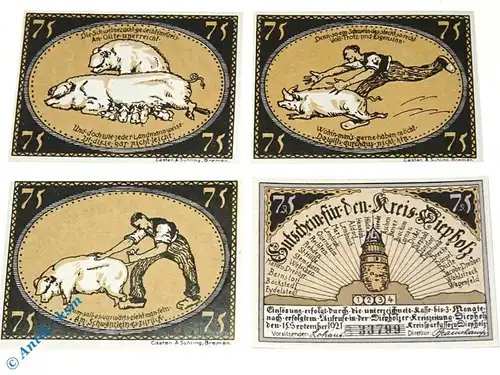Notgeld Diepholz , Set mit 4 Scheinen , B , Mehl Grabowski 273.4 , von 1921 , Niedersachsen Serien Notgeld