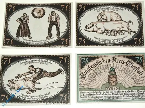 Notgeld Diepholz , Set mit 4 Scheinen , C in kfr.  Mehl Grabowski 273.5 , von 1921 , Niedersachsen Seriennotgeld