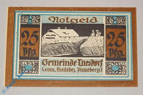 Notgeld Thesdorf , 25 Pfennig Schein Nr 2 ohne Wz , Mehl Grabowski 1321.2 , Schleswig Holstein Seriennotgeld