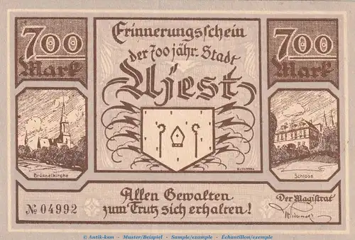 Notgeld Stadt Ujest , 700 Mark Jubiläums Schein in kfr. von 1923 , Schlesien Notgeld