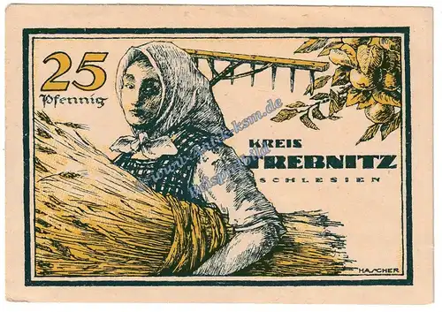 Trebnitz , Notgeld 25 Pfennig Schein in kfr. Tieste 7400.10.05 , Schlesien 1920 Verkehrsausgabe