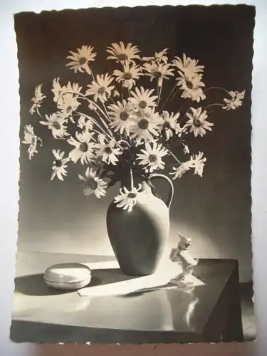 Alte AK Margeritten in Vase Blumenvase [D110]