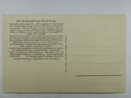 Alte AK Naumburg Saale Ruine Schönberg [aR109]