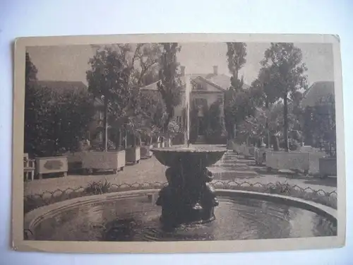 Alte AK Weimar Schloß Belvedere Die Orangerie [T698]