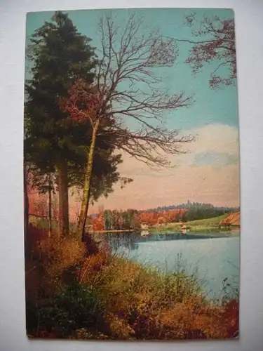 Alte AK Gemäldekarte Landschaft Bäume See Herbst um 1920 [F624]