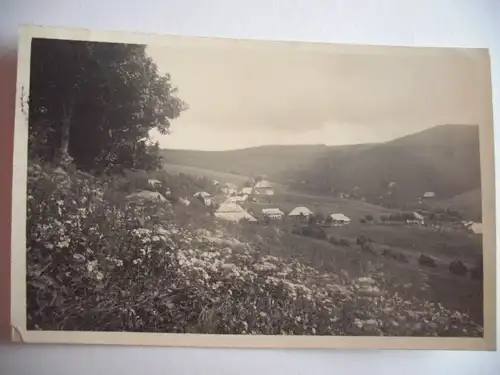 Alte AK Fotokarte Stempel Todtnauberg Schwarzwald 1930 [F201]