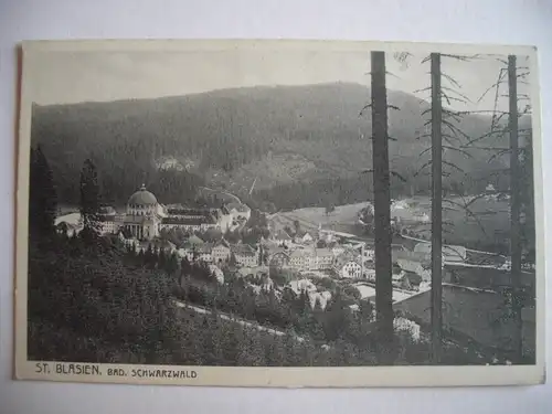 Alte AK St. Blasien um 1930 [F231]