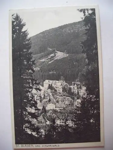 Alte AK St. Blasien Schwarzwald [F234]