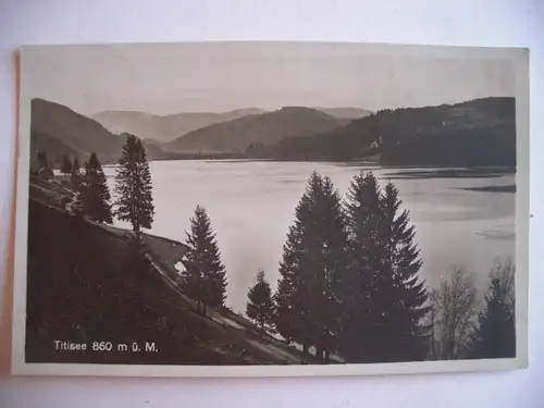 Alte AK Titisee Schwarzwald  [F524]