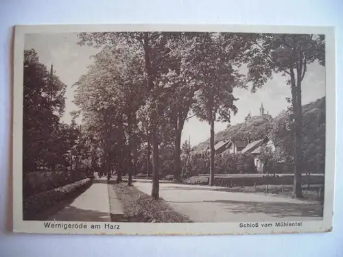 Alte AK Wernigerode Schloß vom Mühlental um 1930 [F558]