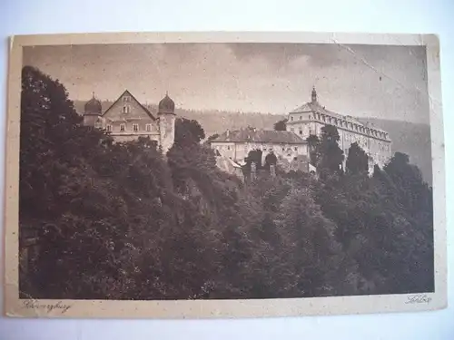 Alte AK Schwarzburg Thüringen Schloß 1924 [F451]