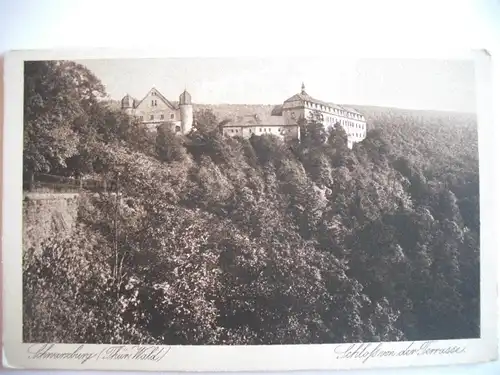 Alte AK Schwarzburg Schloß Thüringer Wald [F481]