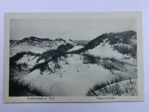 Alte AK Westerland Sylt Dünen Partie [aR332]