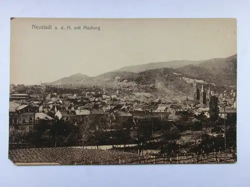 Alte AK Neustadt mit Maxburg [aO583]