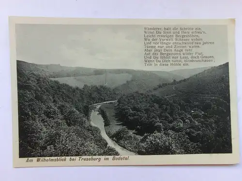 Alte AK Treseburg Wilhelmsblick Bodetal [aO612]