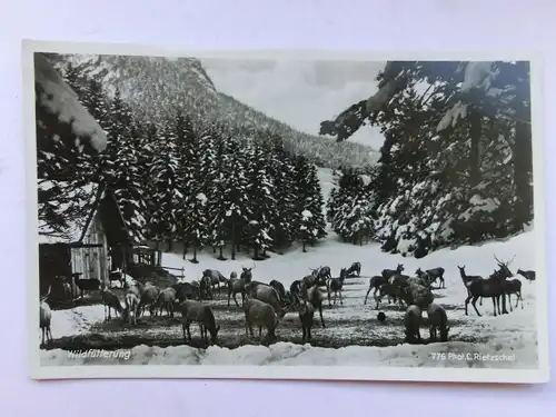 Alte AK Wildfütterung (Garmisch Partenkirchen) [aO617]