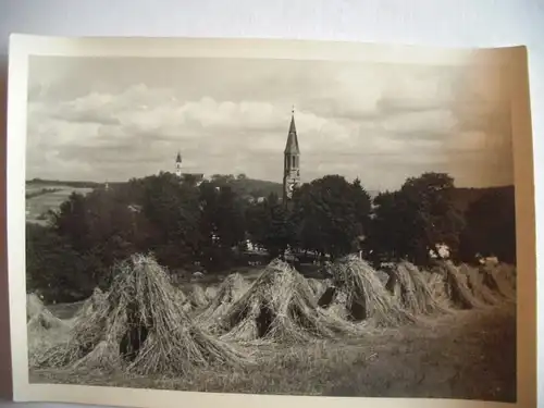 Alte AK Fotokarte Unbekannter Ort Dorf [T955]