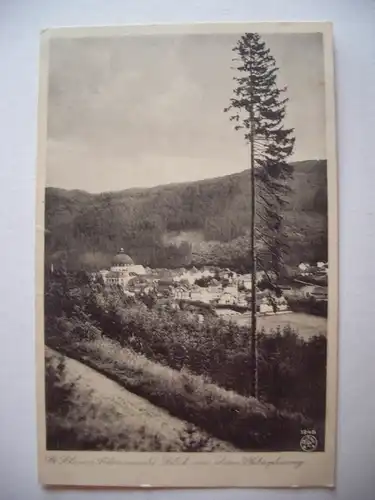 Alte AK St. Blasien Schwarzwald um 1930 [F236]