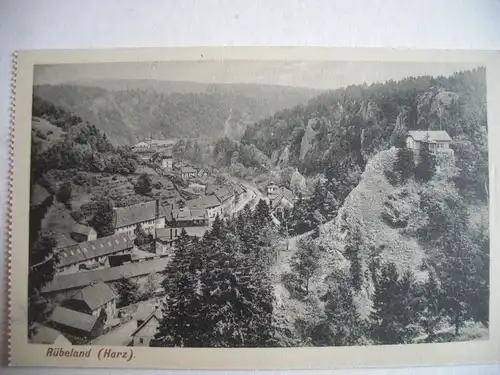 Alte AK Rübeland Harz [aC454]