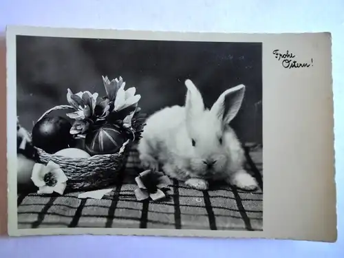 Alte AK Grußkarte Ostern Ostereier Hase um 1940 [aH3]