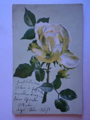 Alte AK Grußkarte Rose Rosen 1914 [aH30]