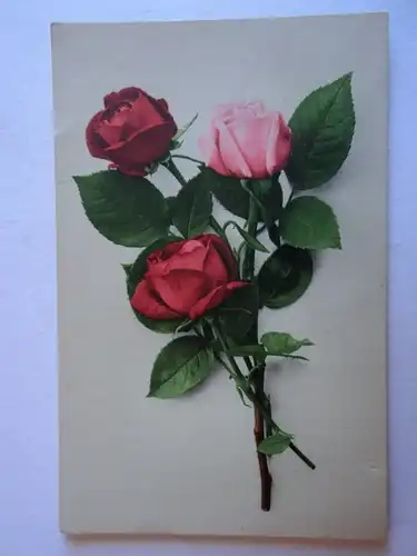 Alte AK Grußkarte Rose Rosen 1927 (m. Knick) [aH42]