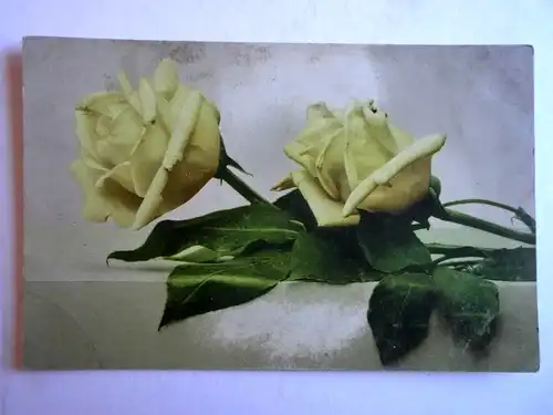 Alte AK Grußkarte Rose Rosen 1919 [aH45]