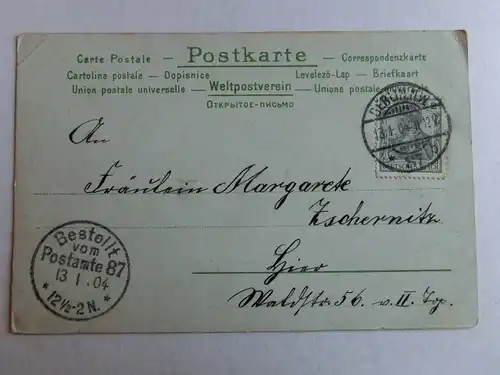 Alte AK Grußkarte Blumen See 1904 [aH93]