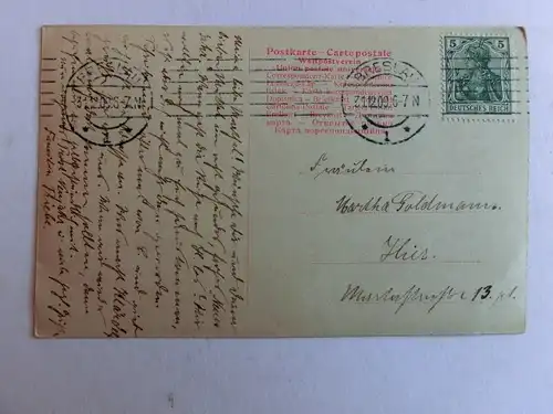 Alte AK Grußkarte Neues Jahr Tannenzweig Vögel 1909 [aH131]