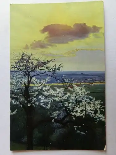 Alte AK Gemäldekarte blühender Baum Landschaft Dorf [aH905]