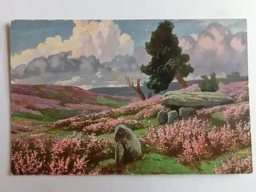 Alte AK Tuck’s Postkarte Heidelandschaft Erika Heide [aH908]
