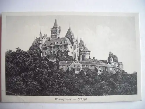 Alte AK Wernigerode Schloß  [E420]