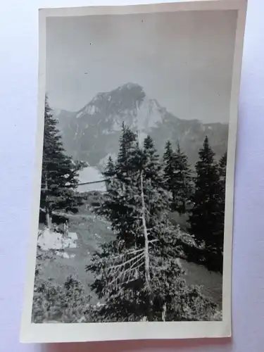 Alte AK Fotokarte Wendelstein [aJ137]