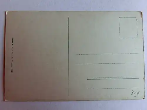 Alte AK Burg Rheinstein [aK120]