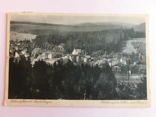 Alte AK Finsterbergen Blick a. d. Villen am Steiger [aK180]