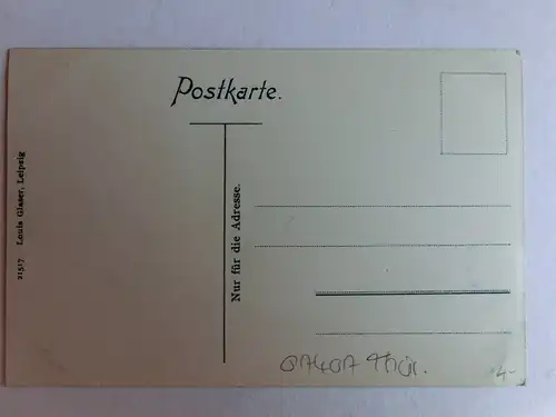 Alte AK Rudolstadt vom Hain [aM920]