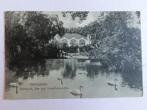 Alte AK Strassburg Orangerie See Hauptrestauration um 1910 [aK277]