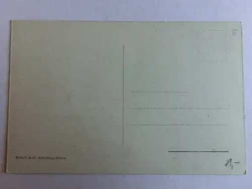 Alte AK Rigi Rigibahn Tunneldurchblick um 1910 [aK298]