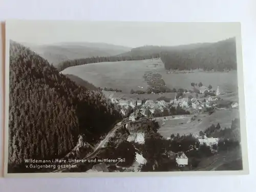 Alte AK Wildemann im Harz  [aK299]
