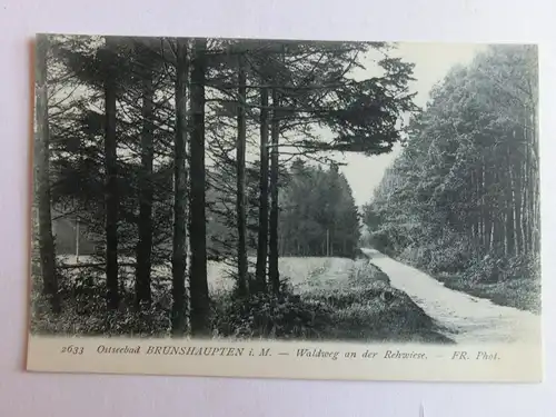 Alte AK Ostseebad Brunshaupten Waldweg Rehwiese um 1920 [aK430]